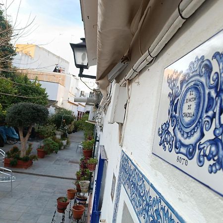 Tipico Y Pintoresco Patio De Vecinos, Con Encanto Sewilla Zewnętrze zdjęcie