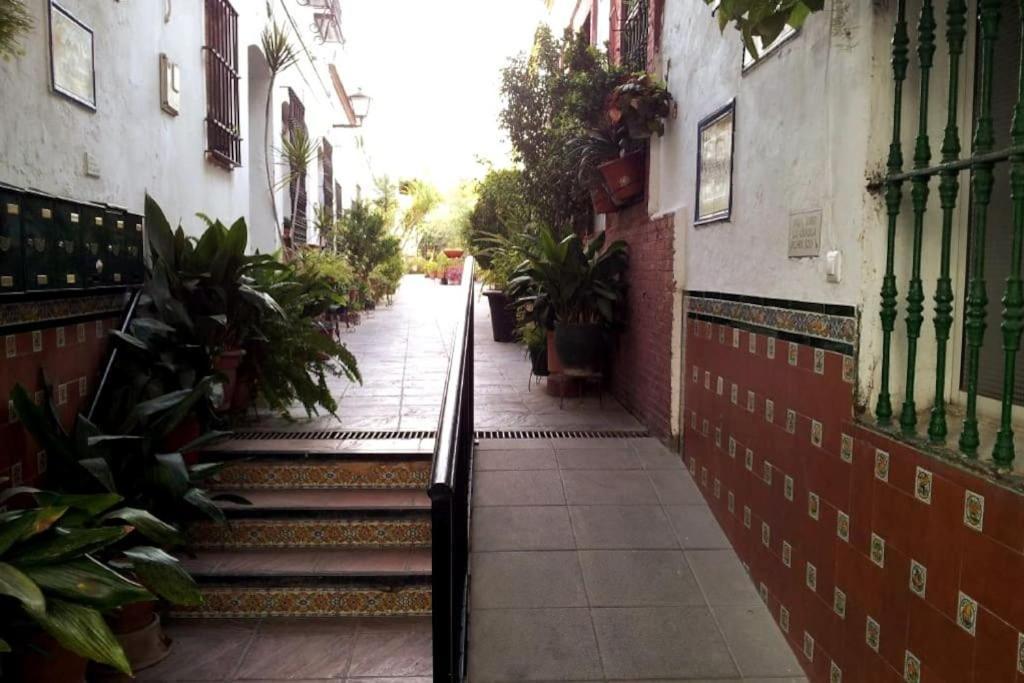 Tipico Y Pintoresco Patio De Vecinos, Con Encanto Sewilla Zewnętrze zdjęcie