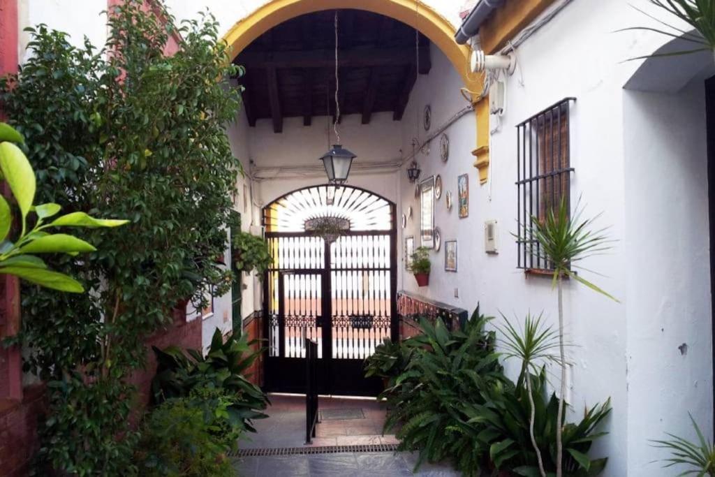 Tipico Y Pintoresco Patio De Vecinos, Con Encanto Sewilla Zewnętrze zdjęcie