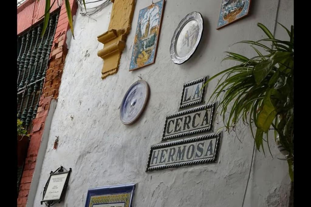 Tipico Y Pintoresco Patio De Vecinos, Con Encanto Sewilla Zewnętrze zdjęcie