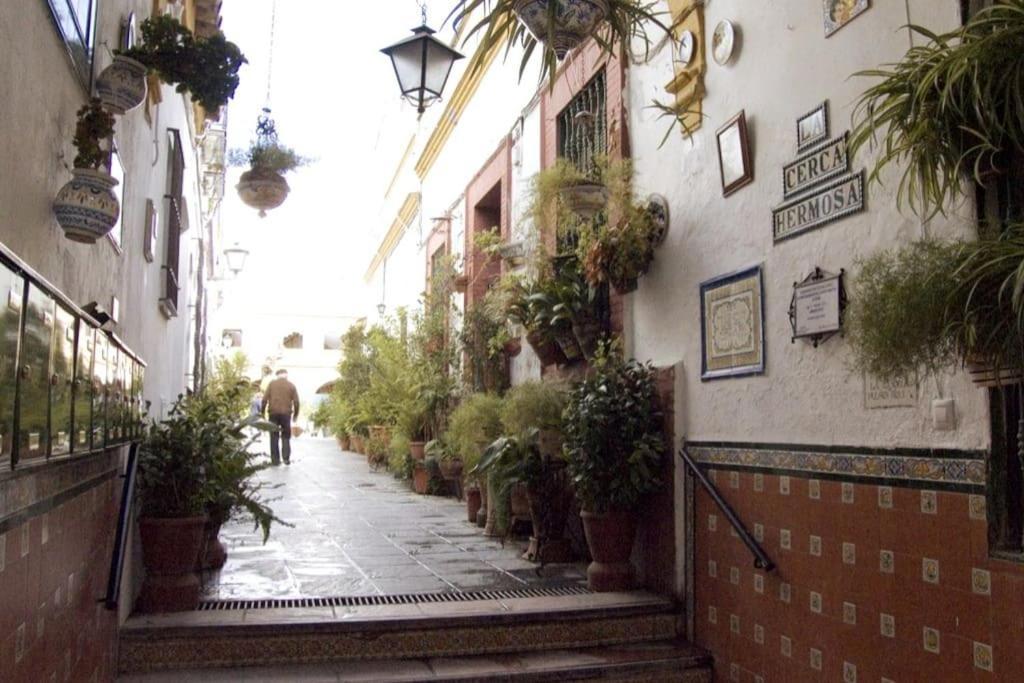Tipico Y Pintoresco Patio De Vecinos, Con Encanto Sewilla Zewnętrze zdjęcie