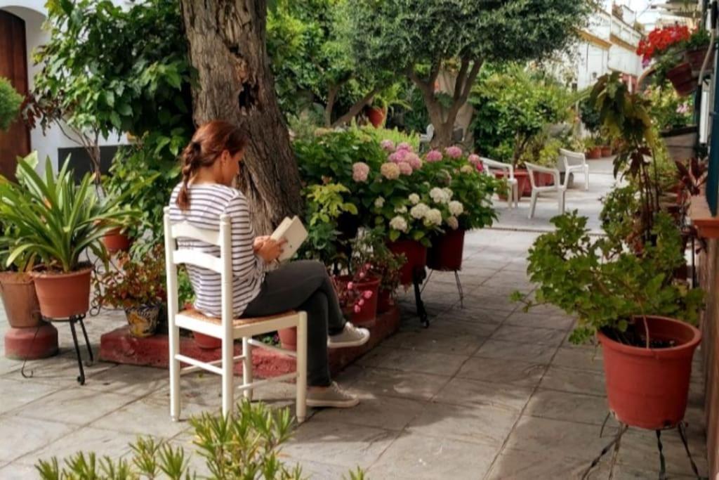 Tipico Y Pintoresco Patio De Vecinos, Con Encanto Sewilla Zewnętrze zdjęcie