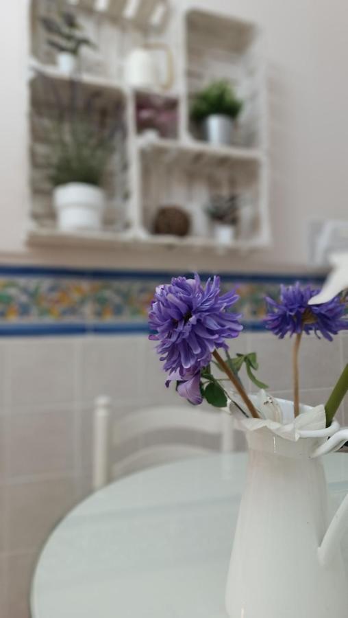 Tipico Y Pintoresco Patio De Vecinos, Con Encanto Sewilla Zewnętrze zdjęcie